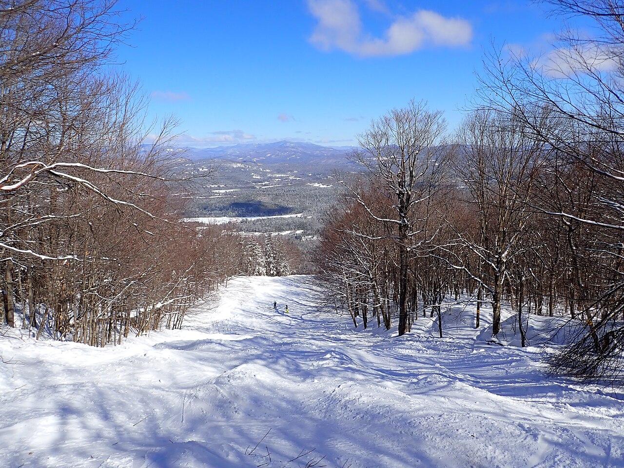 高山滑雪数据观察:数字背后的比赛真相(规则判罚视角)